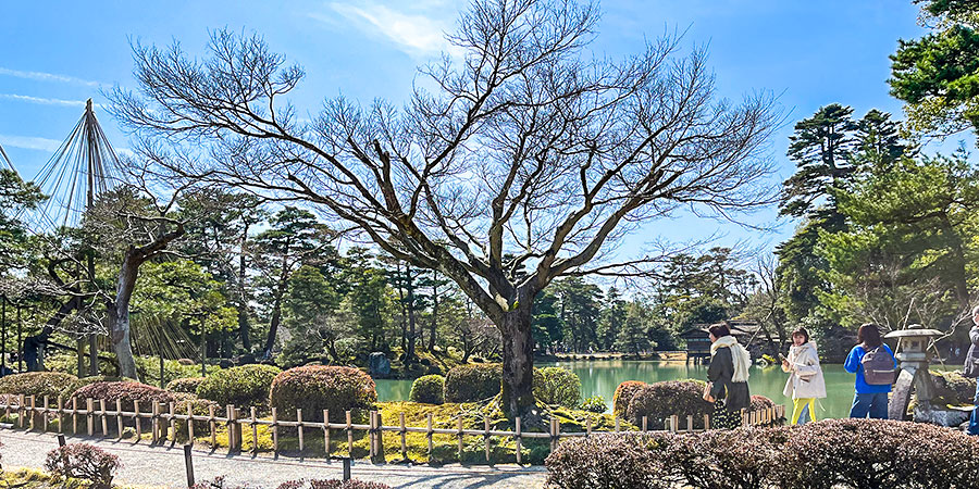 Tokiwa Park in Asahikawa
