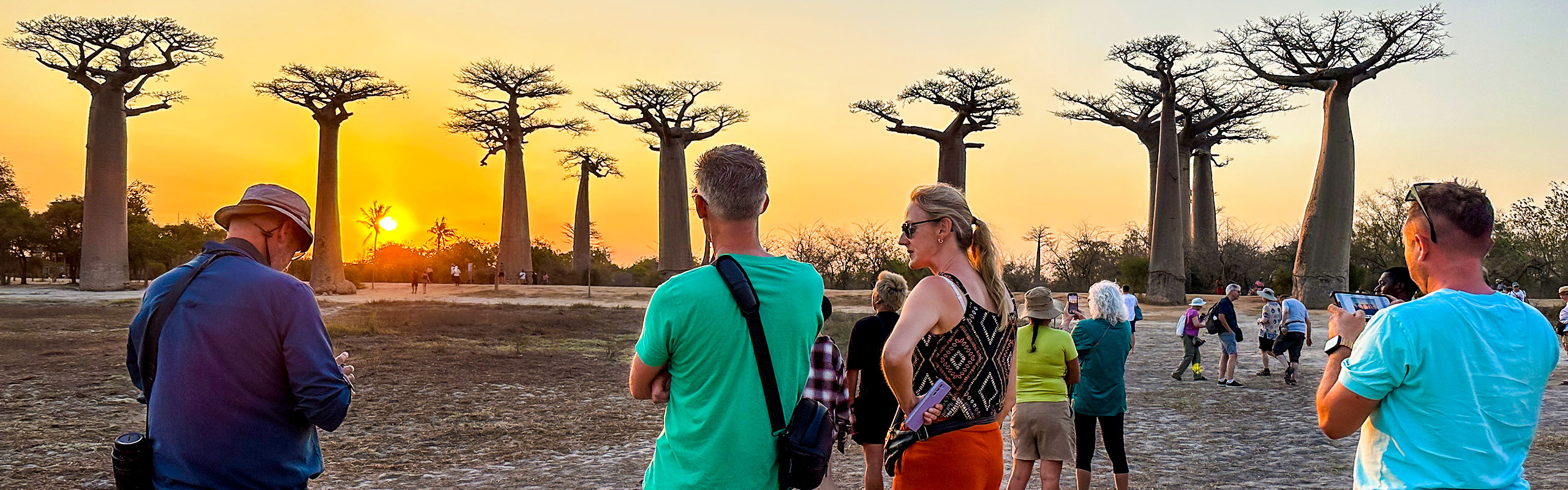 The Avenue of Giant Baobabs