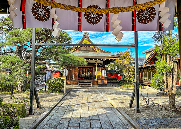 Beautiful yard and surrounding wooden buildings