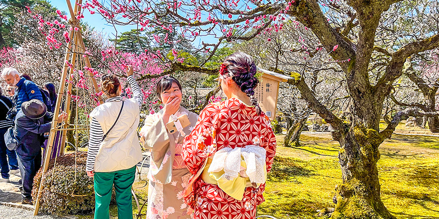 Kyoto in Spring with Blooming Sakura