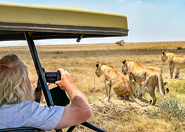 Meet Lions in Tarangire National Park