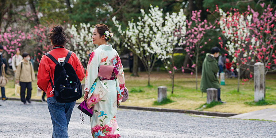 Cherry Blossoms in Nagoya's Park