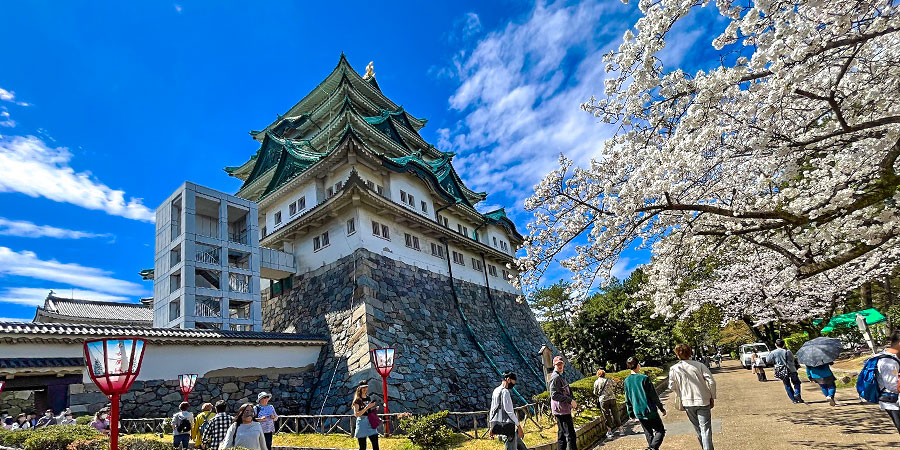 Cherry Blossoms, Nagoya Castle, Nagoya