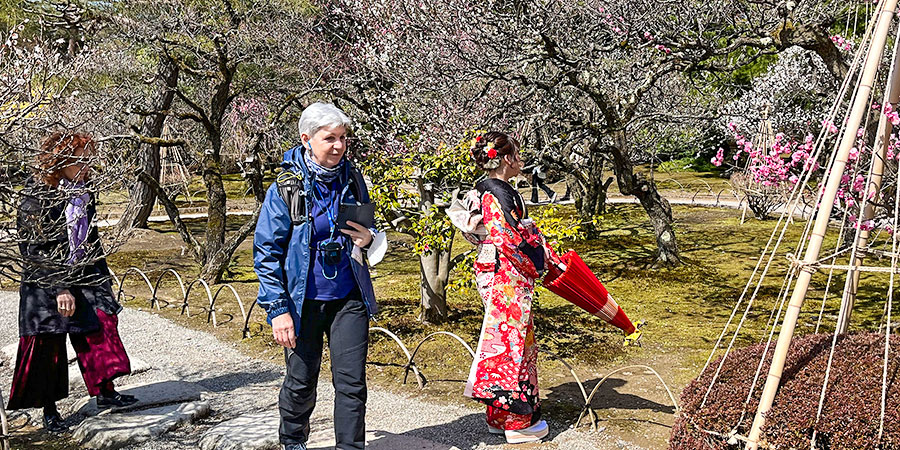 Appreciating Cherry Blossoms in Kimono