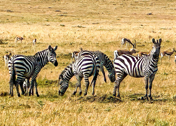 Dry Season in Kenya