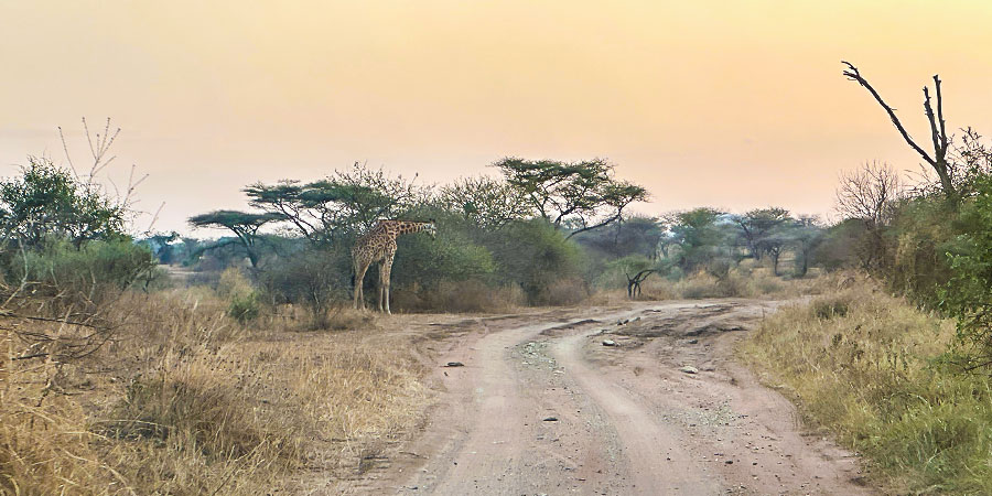 Tanzania Weather in February