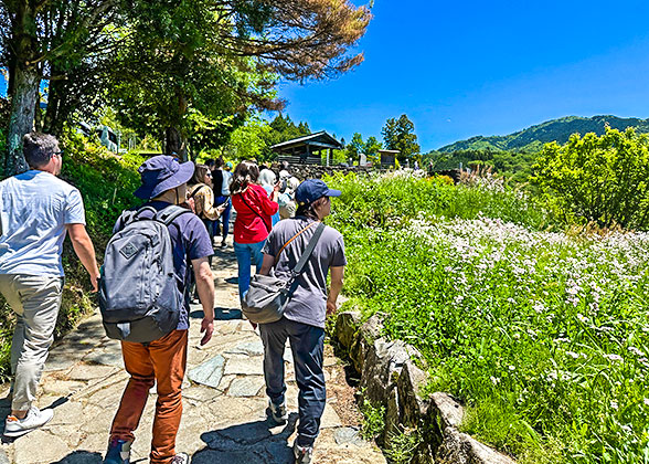 Tourists in Flower Land Kamifurano