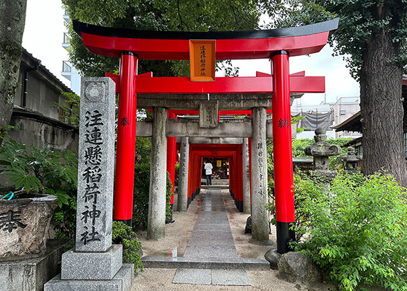  Torii Gates at Inari Shrine of Kushida Shrine