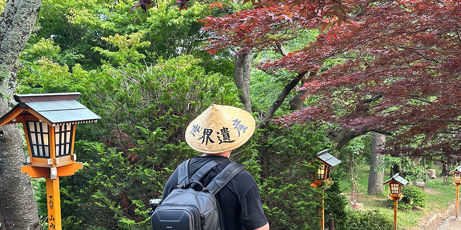 Autumn Leaves in Fukuoka