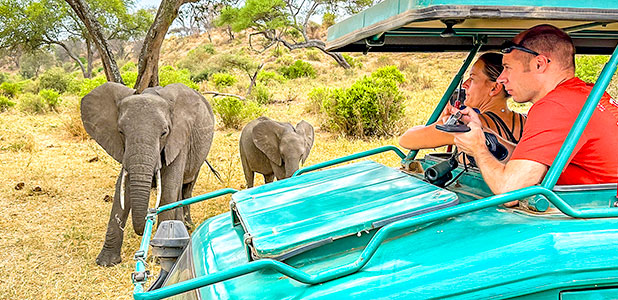 Meet Elephants during a Game Drive in Kenya