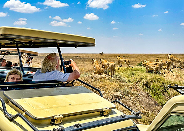 Game Drive in Serengeti