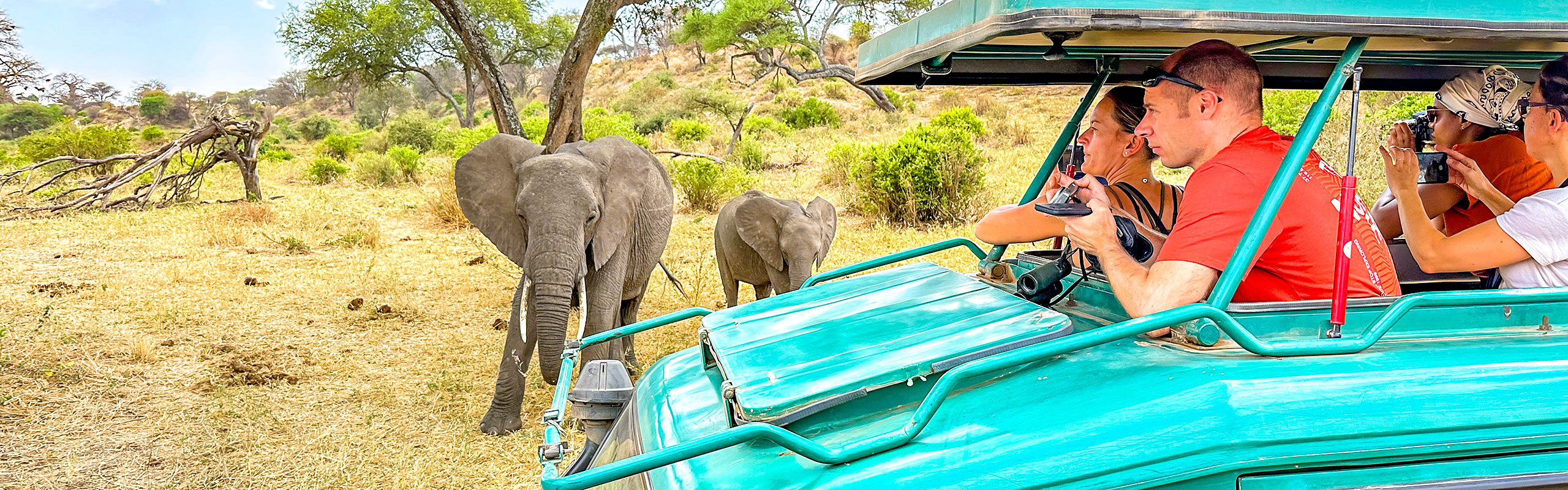 Meet Elephants during a Game Drive in Kenya