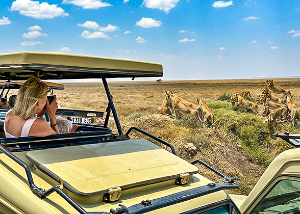 Game Drive in Serengeti National Park