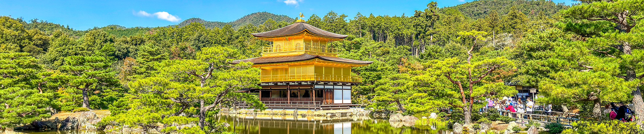 The gold pavilion and dense forest behind