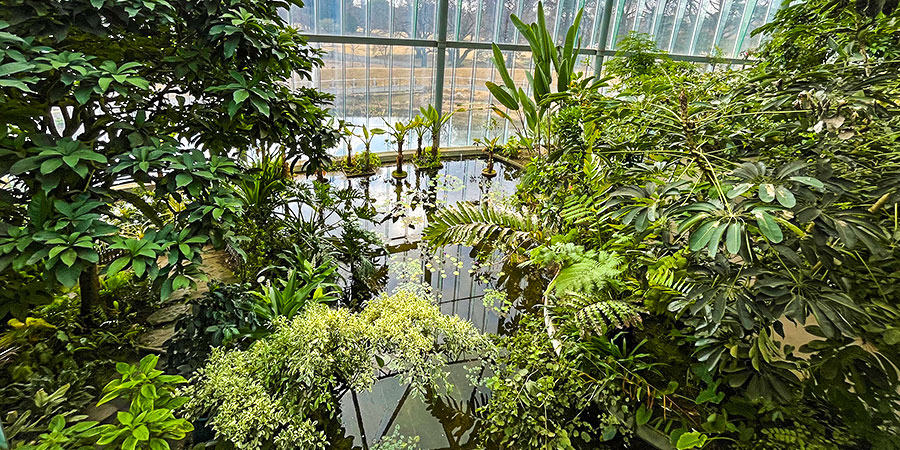 Hakodate Tropical Botanical Garden