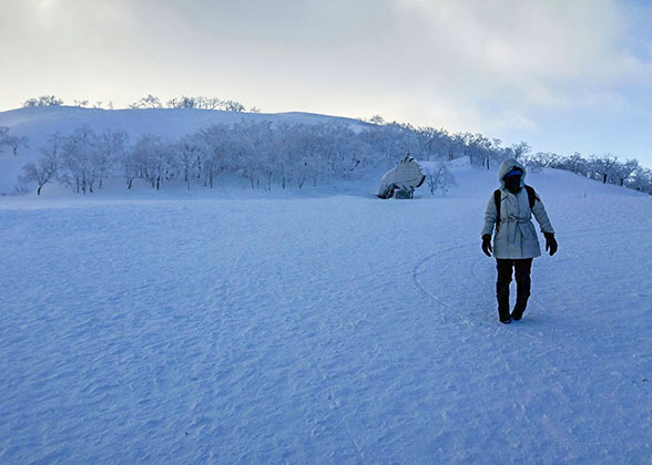 Mountain in Hakuba Valley