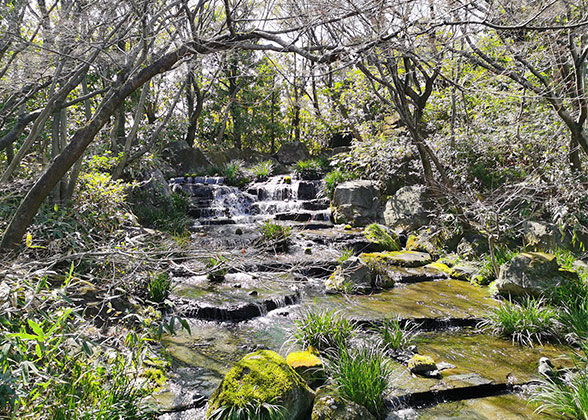 A Brook in Heiwadai Park