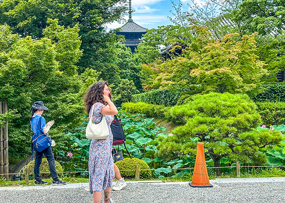 Lush Plants in Hibiya Park