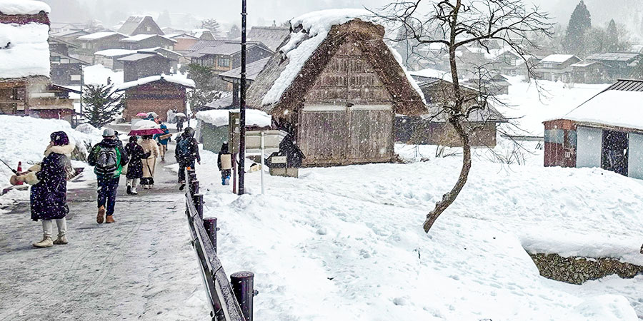 Mountain Snow Scene in Hokkaido