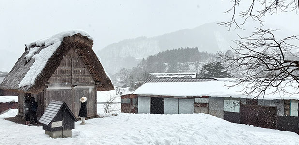 Hokkaido Weather by Month, 2024 & 2025: Climate, Best Time
