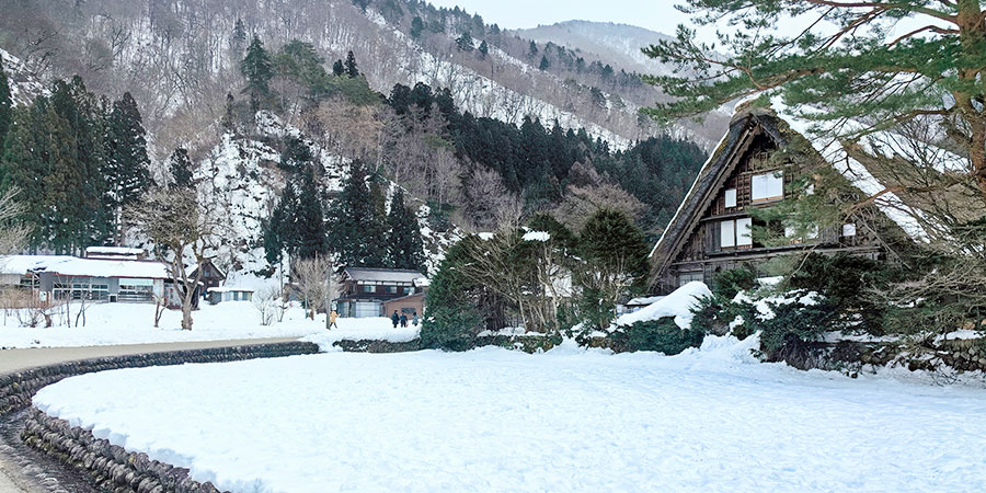 Winter Snow in Hokkaido