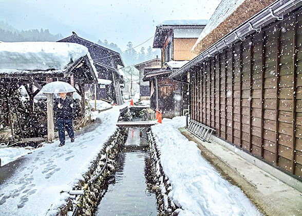 Japan Winter