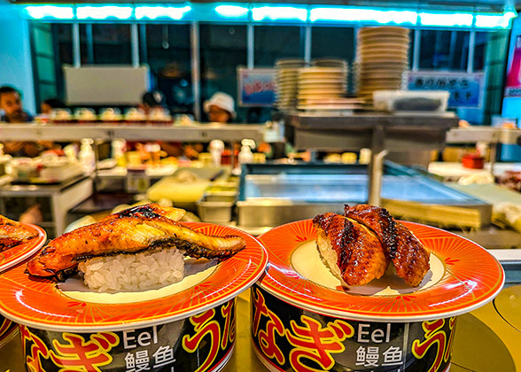 Grilled eel