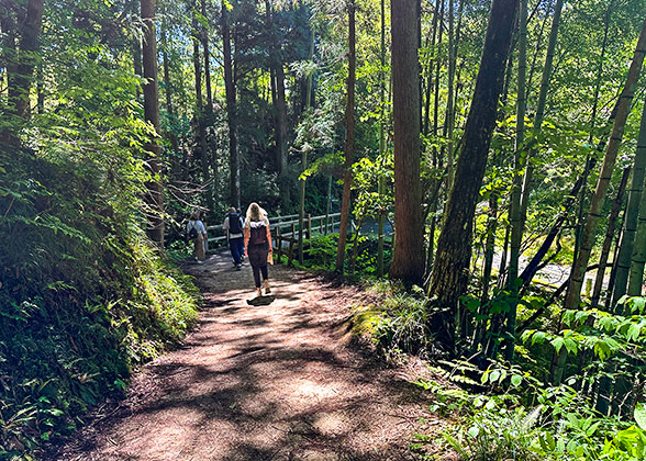 Hiking in Karuizawa