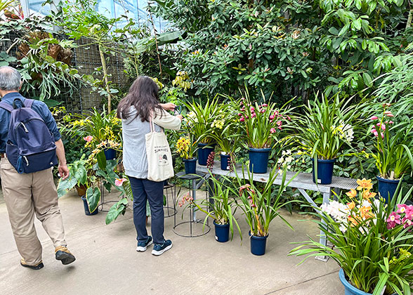 Visit Plants in Karuizawa Museum