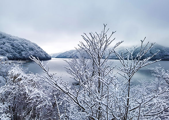 Snow Scenery of Pond in Karuizawa