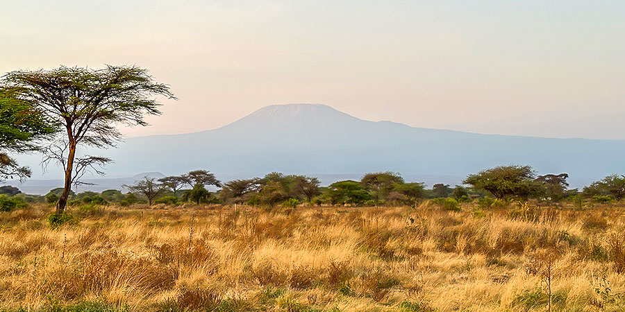 Landscapes in Amboseli National Park & Mount Kilimanjaro in the Distance