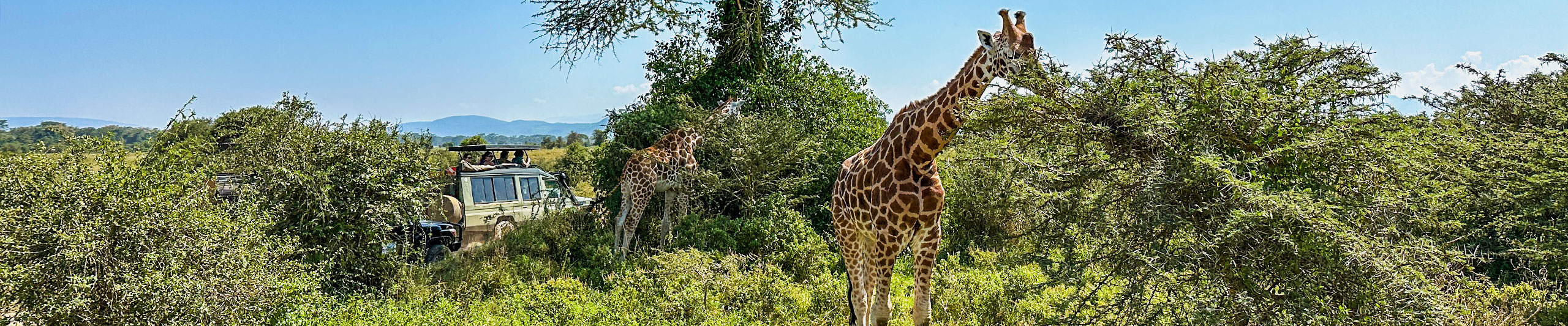 Safari in Kenya; Top Things to Do in Kenya