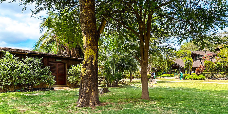 Lodges in Amboseli; Kenya Weather in August