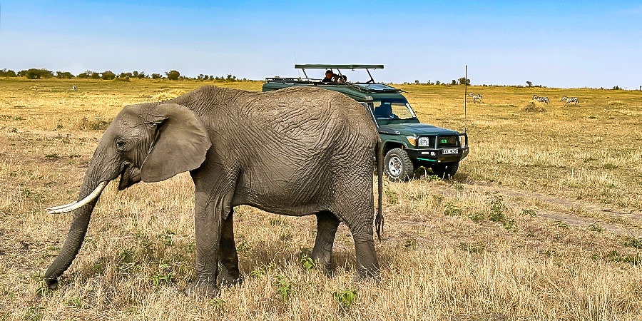 Dry Season in Kenya in January