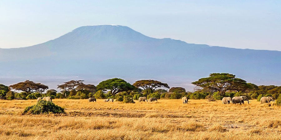 Mount Kilimanjaro in a Distance, Tanzania