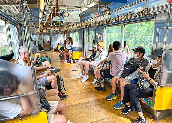 A train travels through the Kushiro Marsh