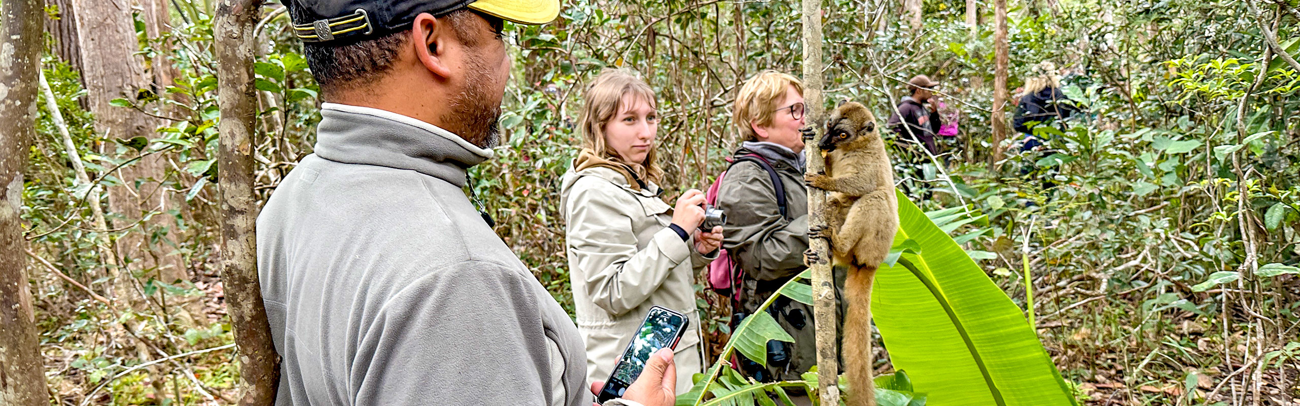 Spotting the Lemur at Lemur Island in Andasibe, Madagascar