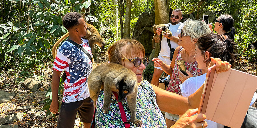 Lemurs on Nosy Komba