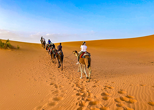 Libya Desert