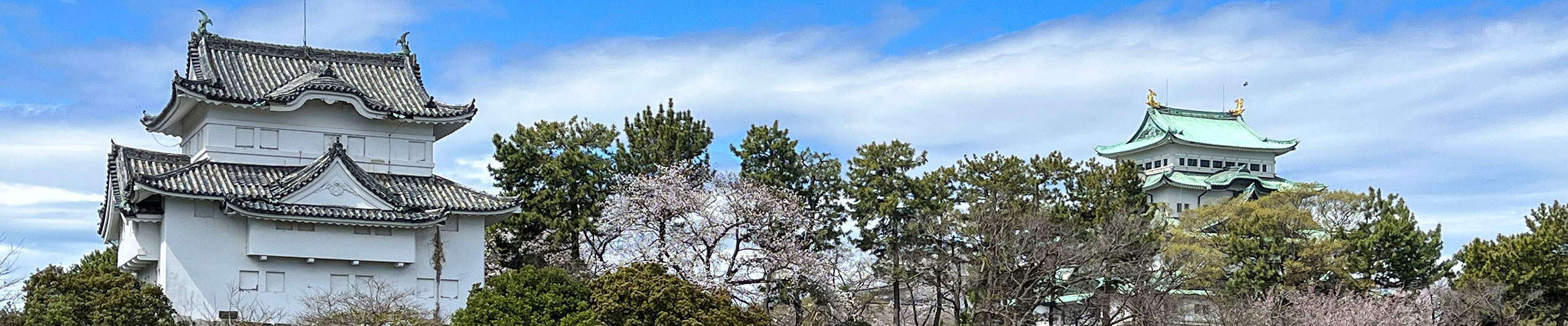 Main  Keep in Nagoya Castle from Afar