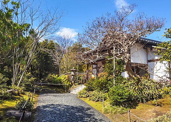 A homestay in Matsumae