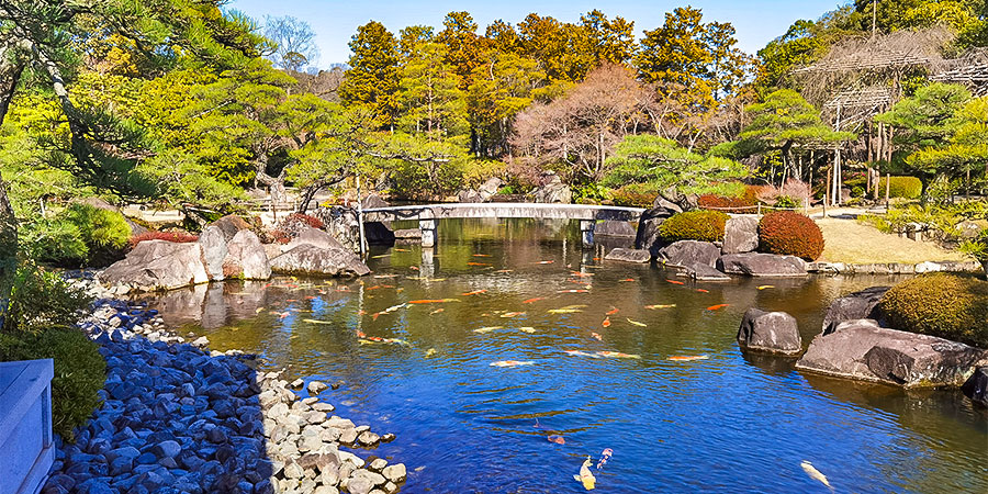 The Forest and Lake in Heiwadai Park