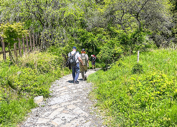 Climbers on the road of Mount Fuji