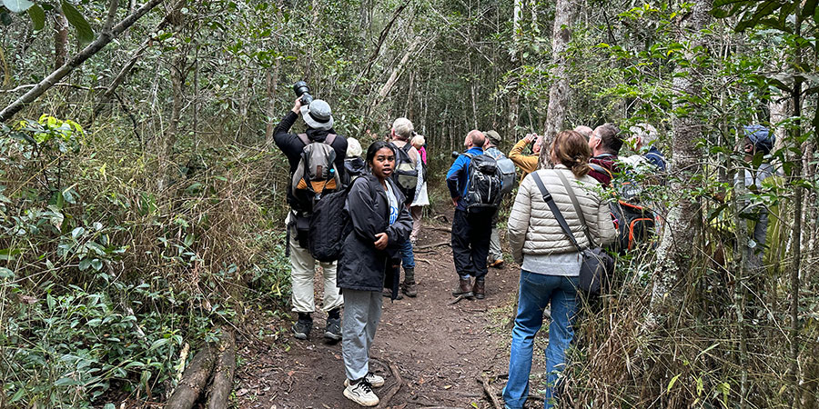 Visitors Hiking on Mt. Mitoku