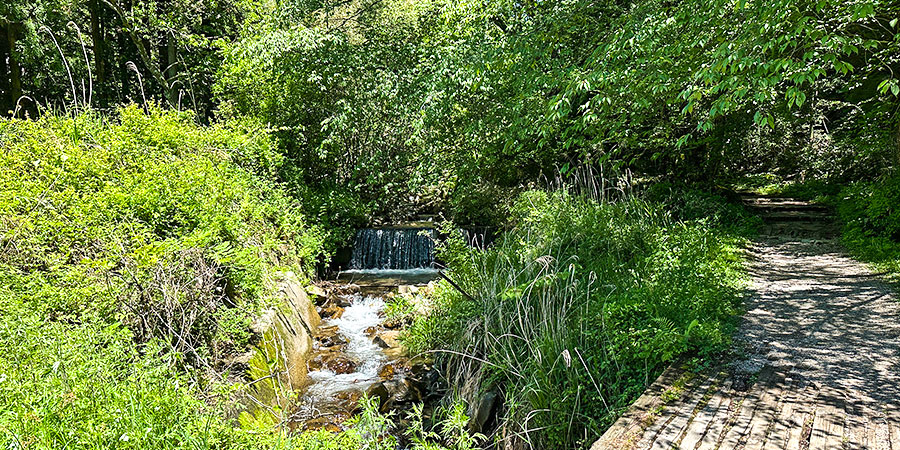 A trail in Mount Tokachi