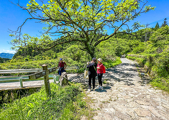 Hikers on Mt. Mitake