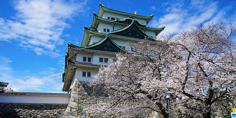 Cherry Blossoms around Main Keep