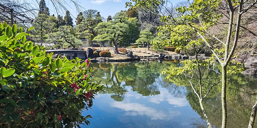 Tokugawa in Summer
