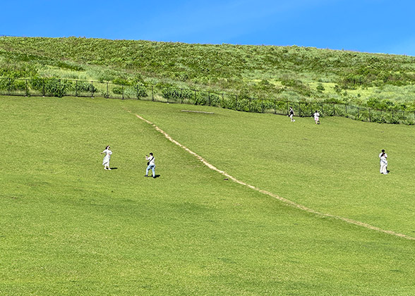 Mountain Wakakusa