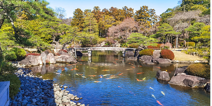 The pond in Odori Park